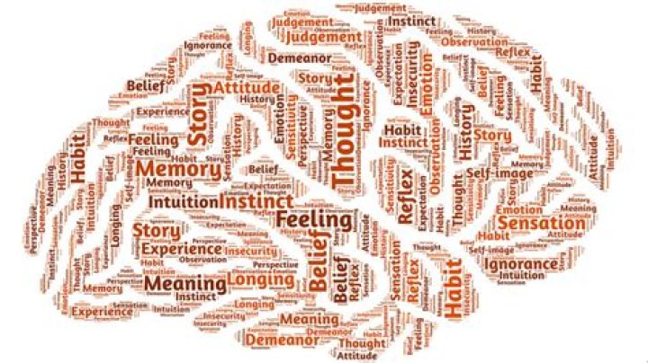 What is the memory capacity of the human brain?