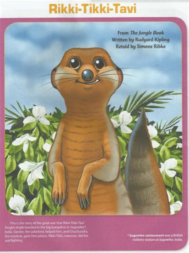 What is the message of Rikki Tikki Tavi?
