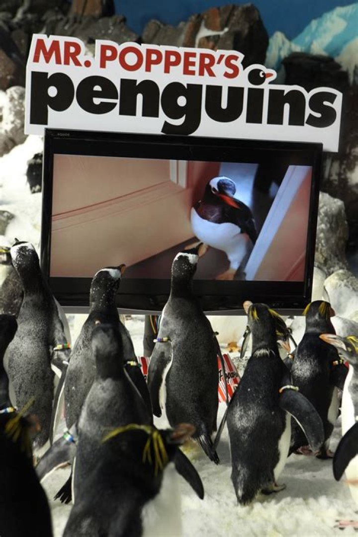 What is the movie Mr Popper's Penguins about?