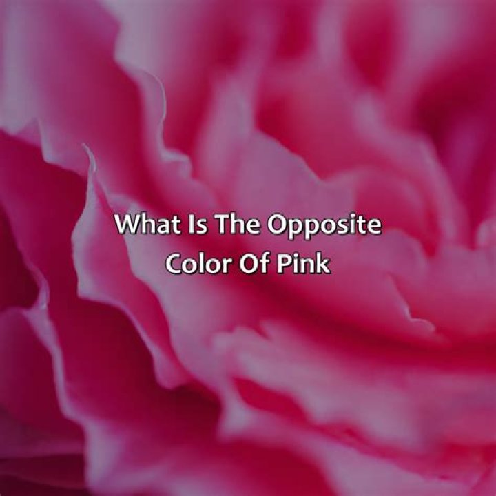 What is the opposite of customer centric?