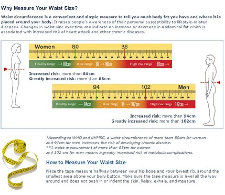 What is the perfect waist size for a man?