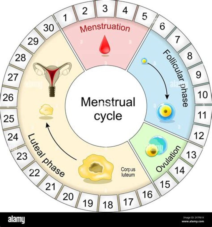 What is the period of your heart oscillations?