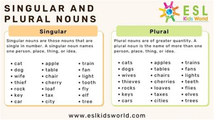 What is the plural form of flies?