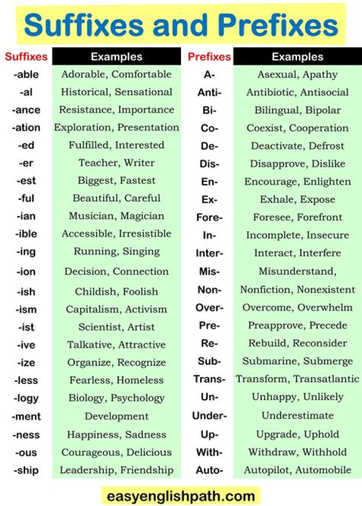 What is the prefix of body?