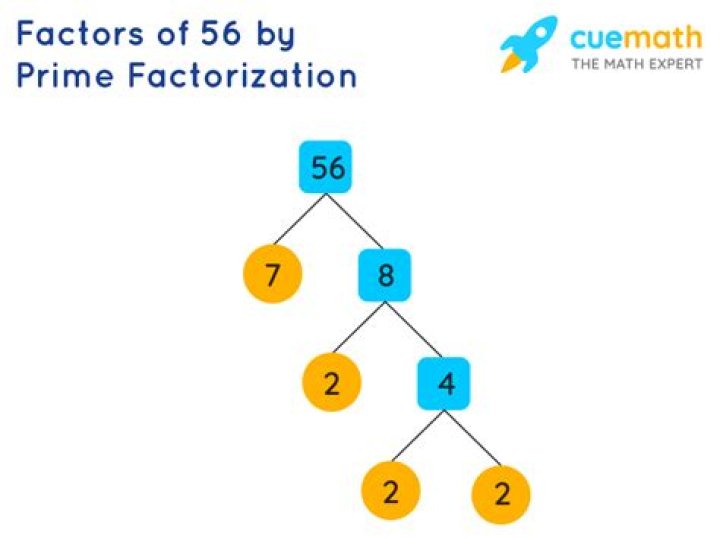 What is the prime factorization of 56?