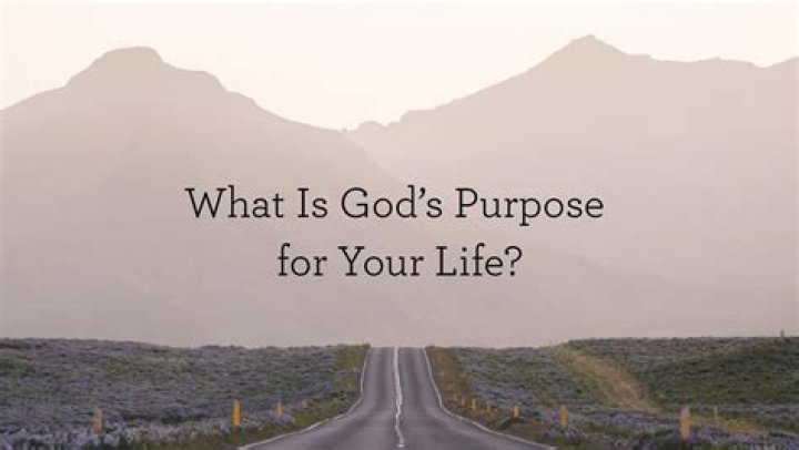 What is the purpose of a unit plan?