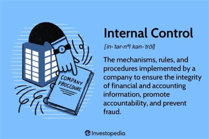 What is the purpose of internal controls?
