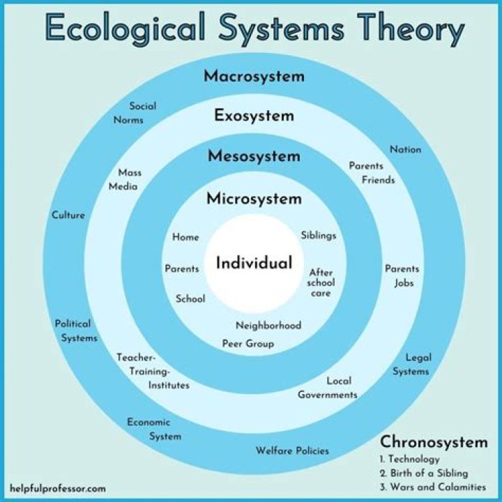 What is the reason for using the systems theory?