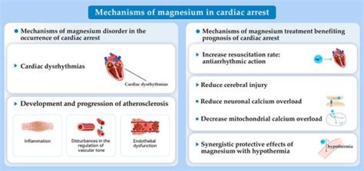 What is the role of magnesium in cell metabolism?