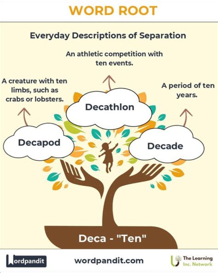 What is the root word of deposition?