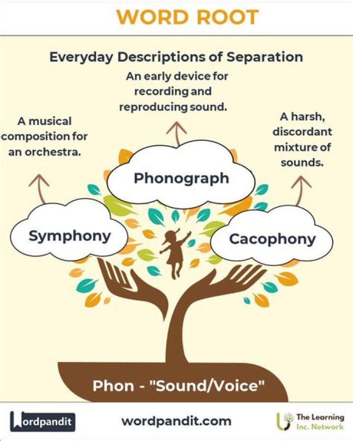 What is the root word of Periscope?