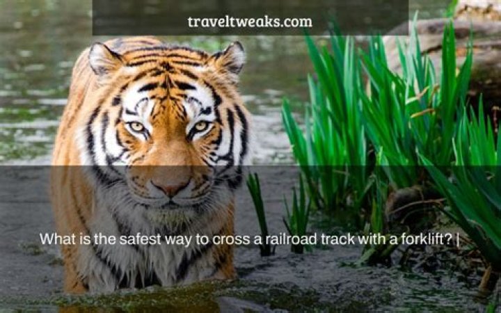 What is the safest way to cross a railroad track with a forklift?