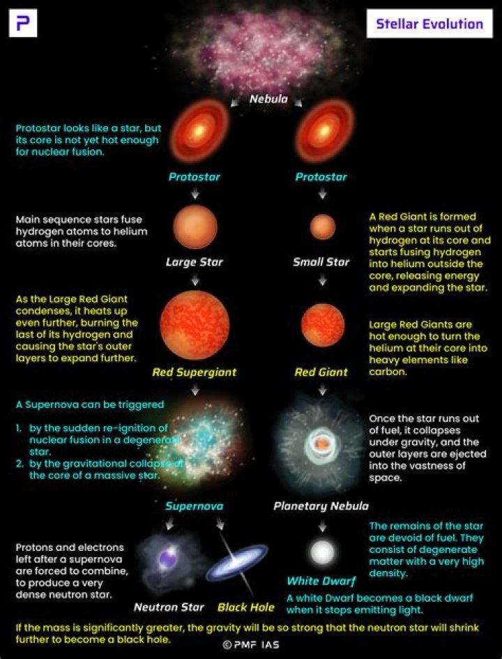 What is the single most important property of a star that will determine its evolution?