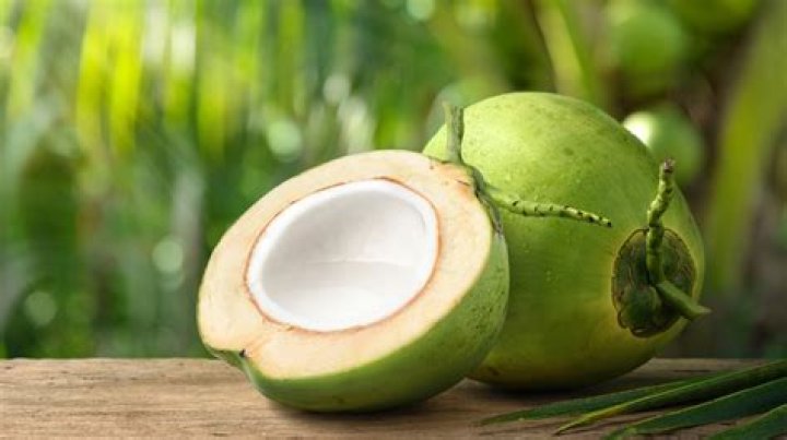 What is the smallest coconut tree?