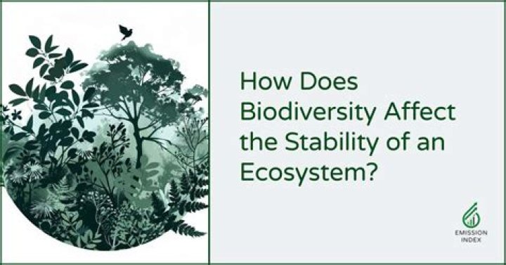 What is the stability of an ecosystem?