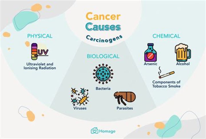What is the true cause of cancer?
