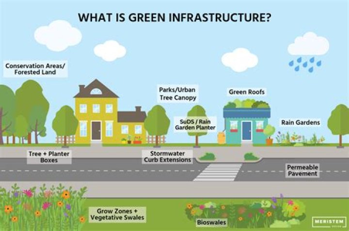 What is the use of green Theorem?