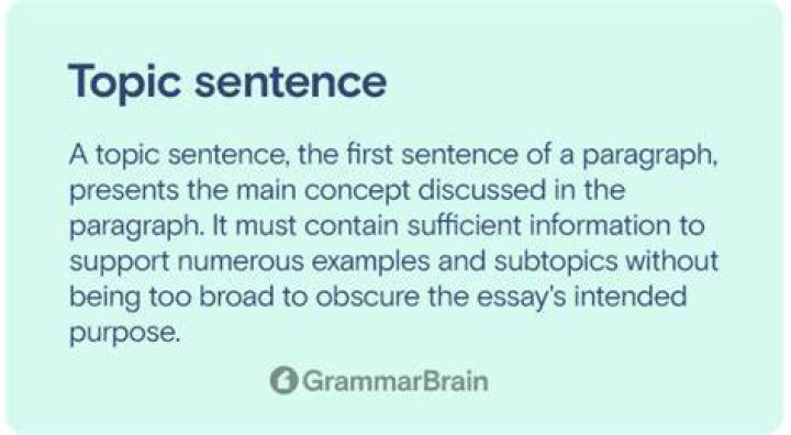 What is topic sentence in writing?