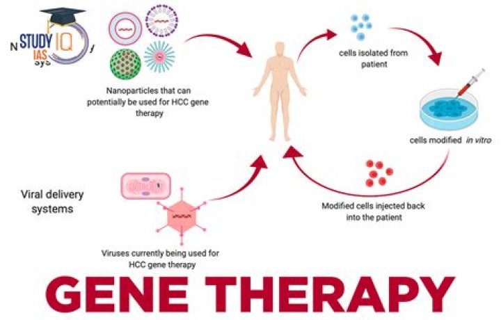 What is traditional gene therapy?