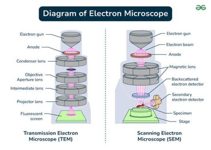 What is transmission electron microscopy used for?
