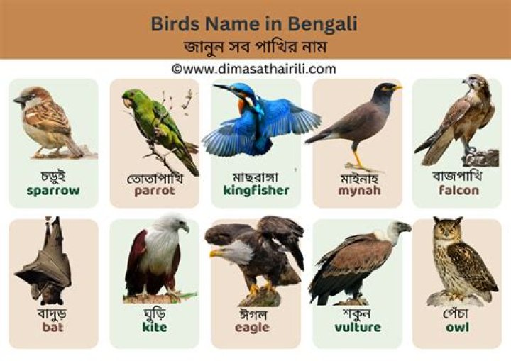 What is Tulu English?