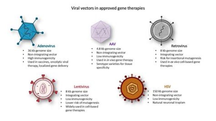 What is used to treat viruses?