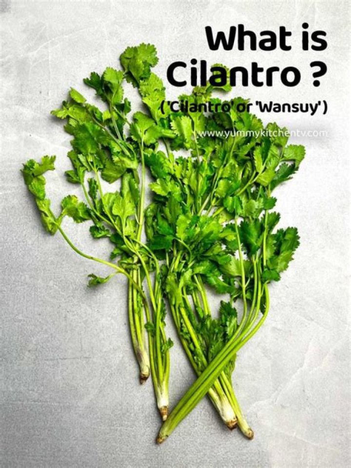 What is Wansoy? | ContextResponse.com