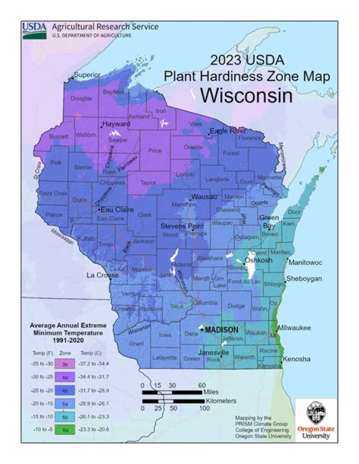 What is Wisconsin's state rock?