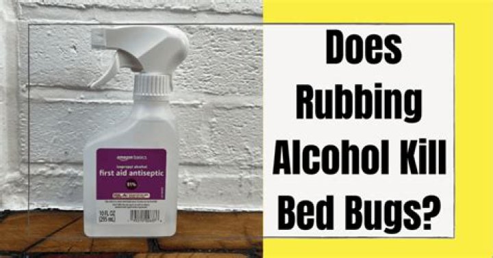What kind of alcohol kills bed bugs?