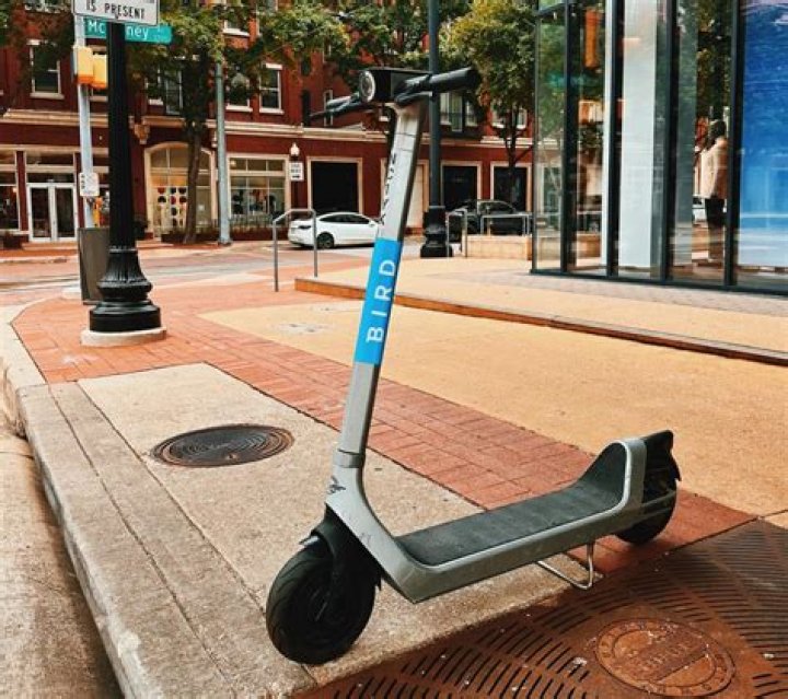 What kind of batteries do bird scooters use?