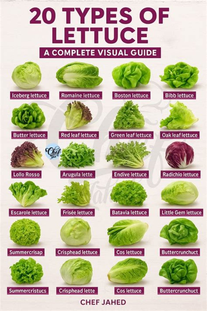 What kind of lettuce is butter lettuce?