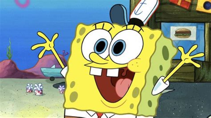 What kind of sponge is SpongeBob?