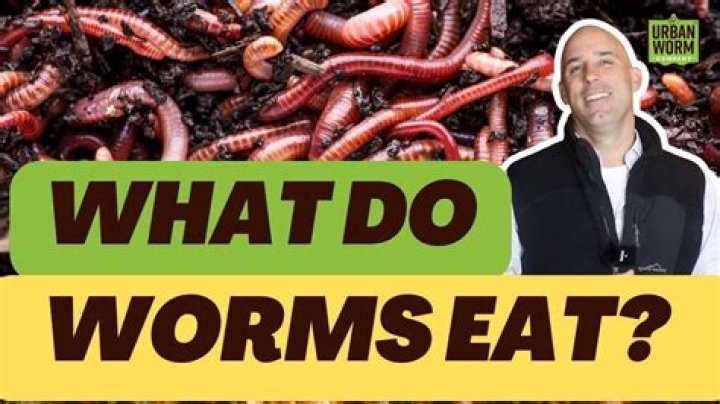 What kind of worms does Strongid kill?