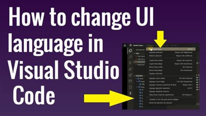 What language is Visual Basic?