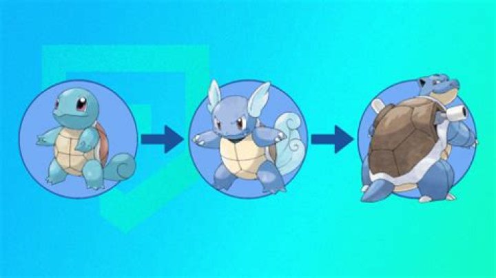 What level does Wartortle evolve in lets go?