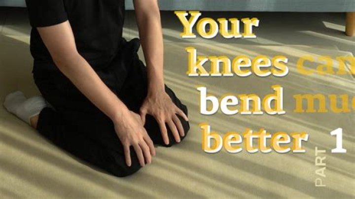 What muscle do you use to bend your knee?