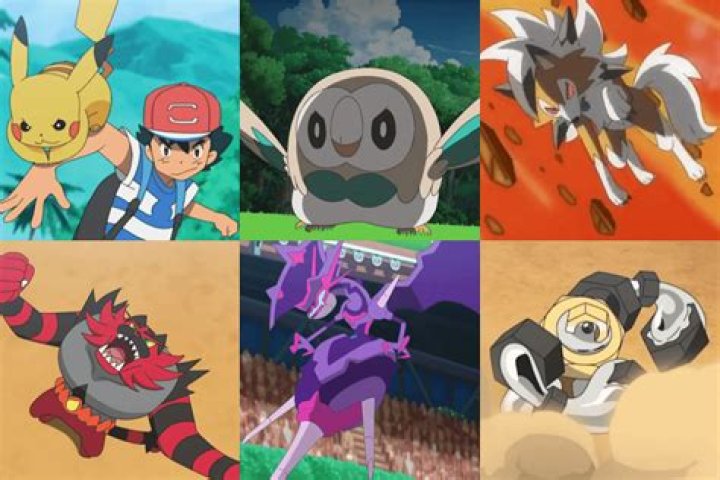 What non water types can learn surf?