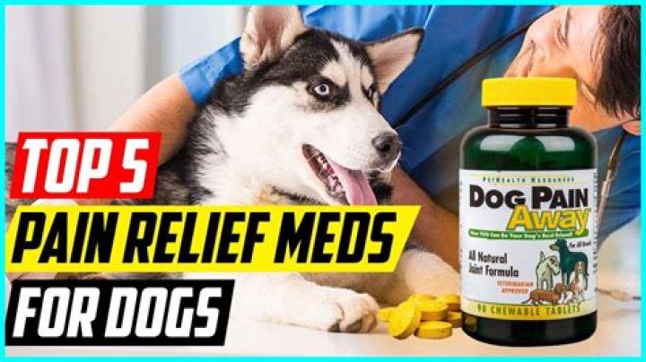 What pain meds are safe for dogs?