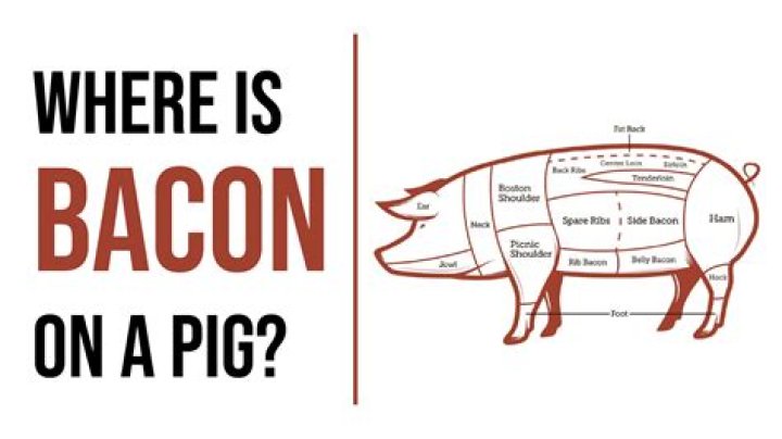 What part of pig is back bacon?