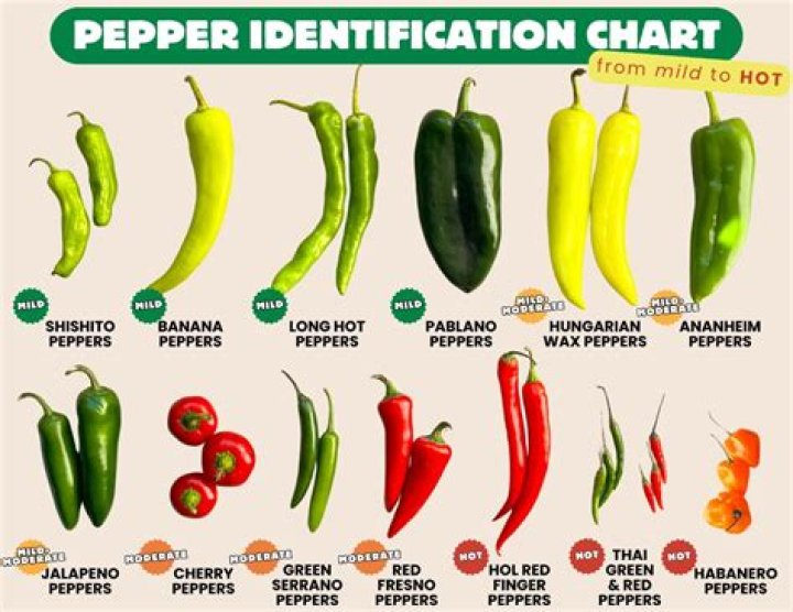 What pepper is milder than jalapeno?