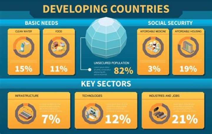 What problems do developing countries have?