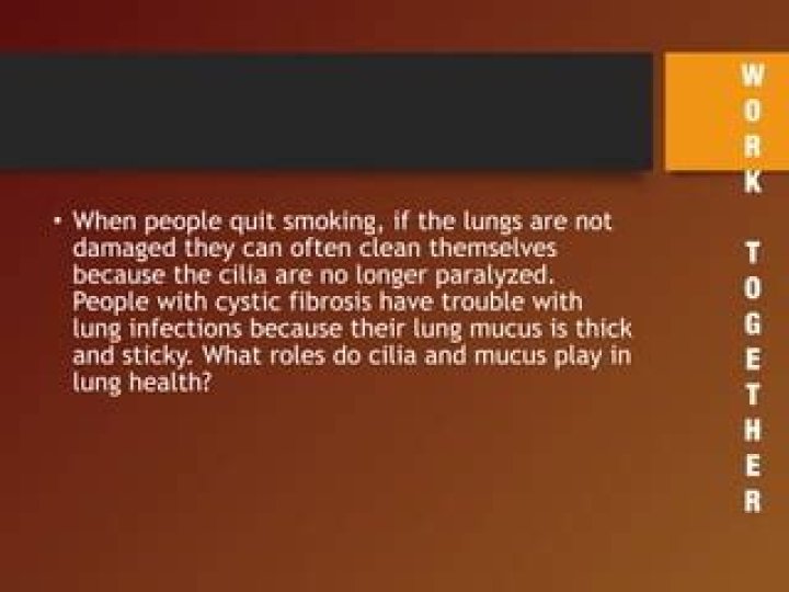 What roles do cilia and mucus play in lung health?