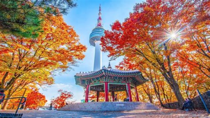 What season is in Korea now?