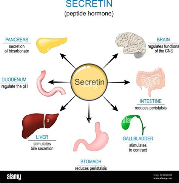 What secretes secretin and CCK?