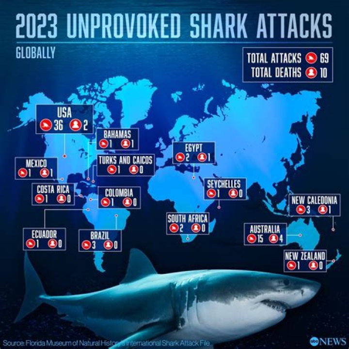 What sharks dont eat meat?