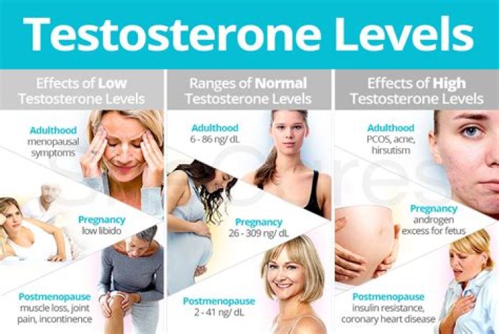 What should free testosterone be?