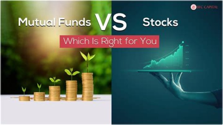 What should I look for in a mutual fund?