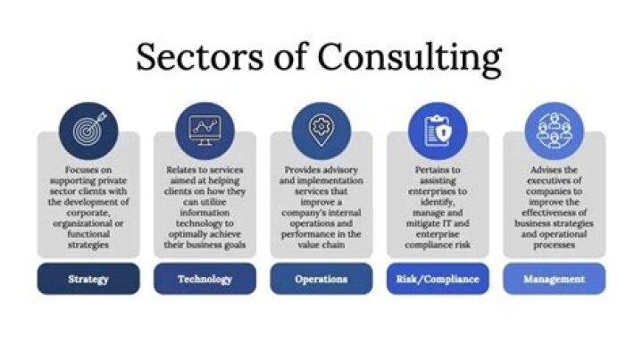 What should I major in for management consulting?