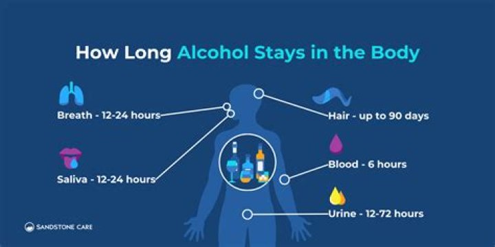 What speeds up the absorption of alcohol?