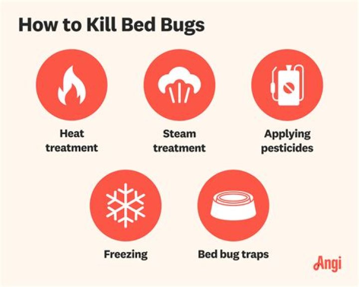 What temperature kills bugs in wood?